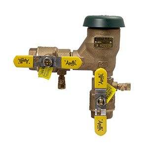 Check Valves & Backflow Preventers Image